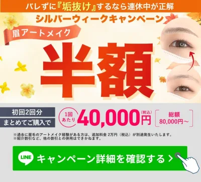 ジ・アートメイク東京 銀座院 シルバーウィークキャンペーン 眉アートメイク半額