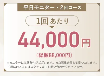 ジ・アートメイク東京 横浜院 眉アートメイク モニター価格